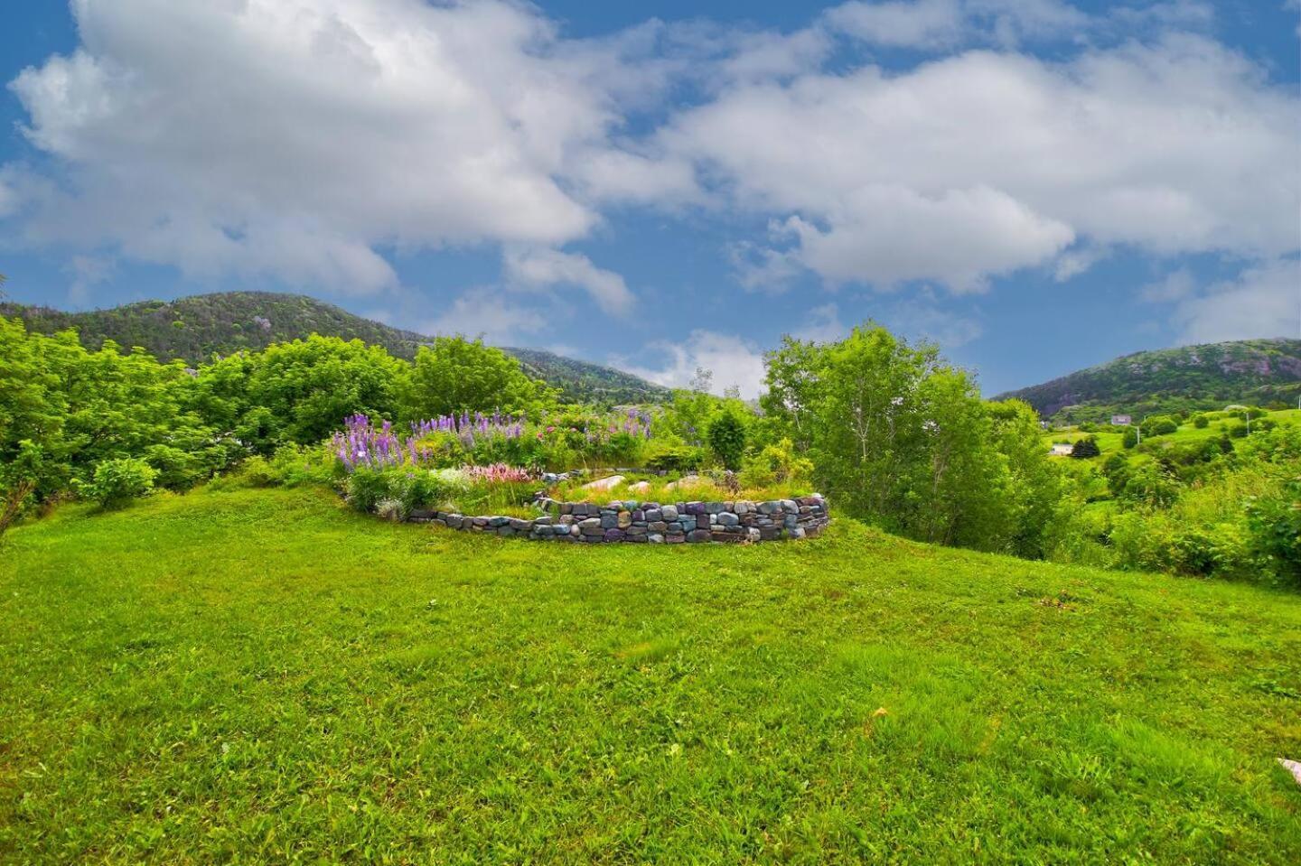 The Vista At Quidi Vidi - Stunning Views & Trails Villa San Juan de Terranova Exterior foto